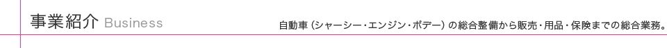 事業紹介 自動車（シャーシー・エンジン・ボデー）の総合整備から販売・用品・保険までの総合業務。